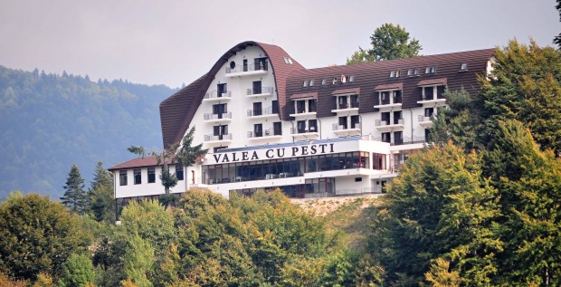 Hotel Valea cu Pesti